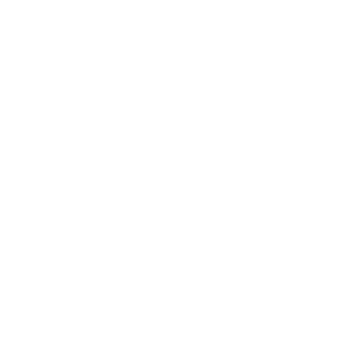 Windsor Ciclismo - VITAL BLANCO