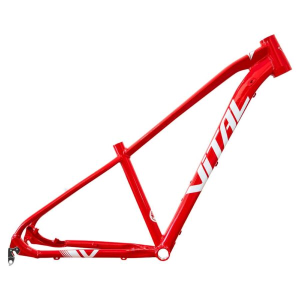 CUADRO VITAL MTB TALLA 15 ROJO