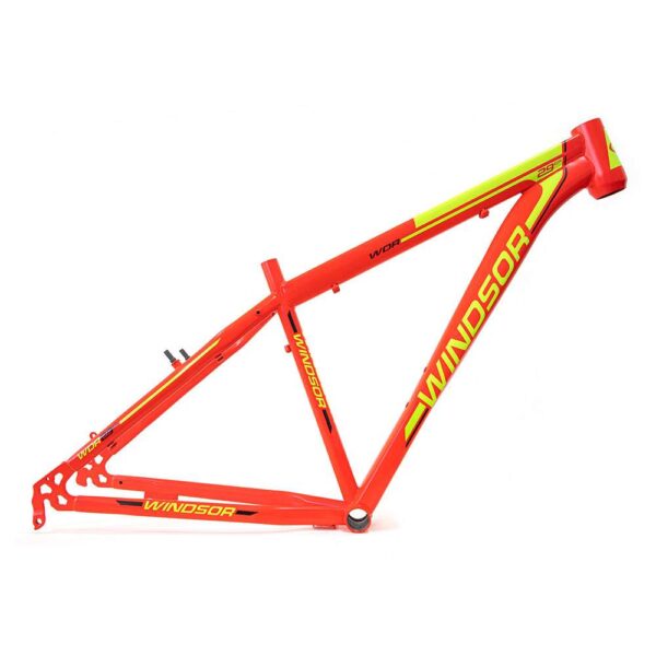 CUADRO R-29 MTB ACE T-17 NJA/AMA WIN