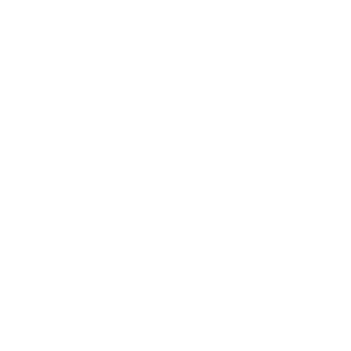Windsor Ciclismo - ZOOM BLANCO